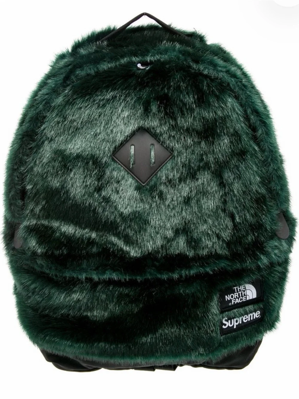 The North Face x Supreme